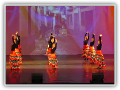 flamenko de amur-2013